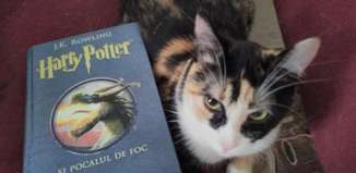 Harry Potter și Pocalul de Foc - J.K. Rowling