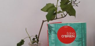 Scăunele roșii de Edna O’Brien-Editura Nemira-recenzie