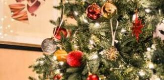 Un Crăciun tradiţional - Lucian-Dragoş Bogdan
