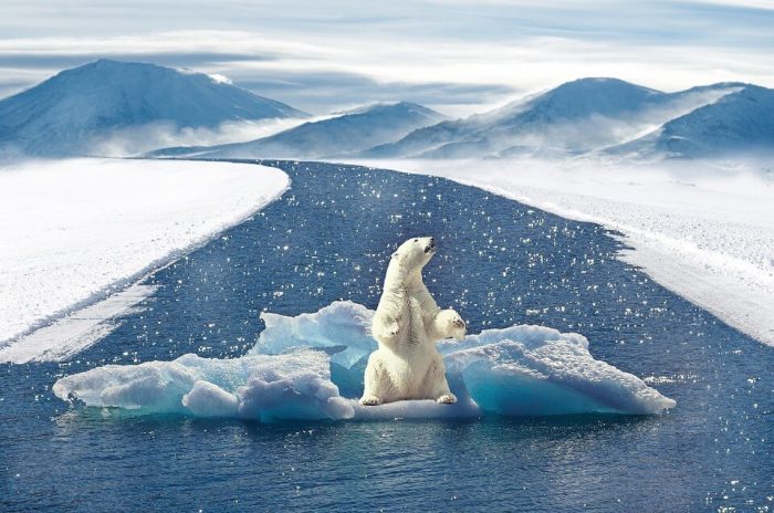 Labirintul de la Polul - Stiaţi că ... Polul Nord - cea mai puțin exploatată zonă a planetei