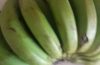 Ciorbă de legume - Sarmale cu ciuperci - Banane prăjite