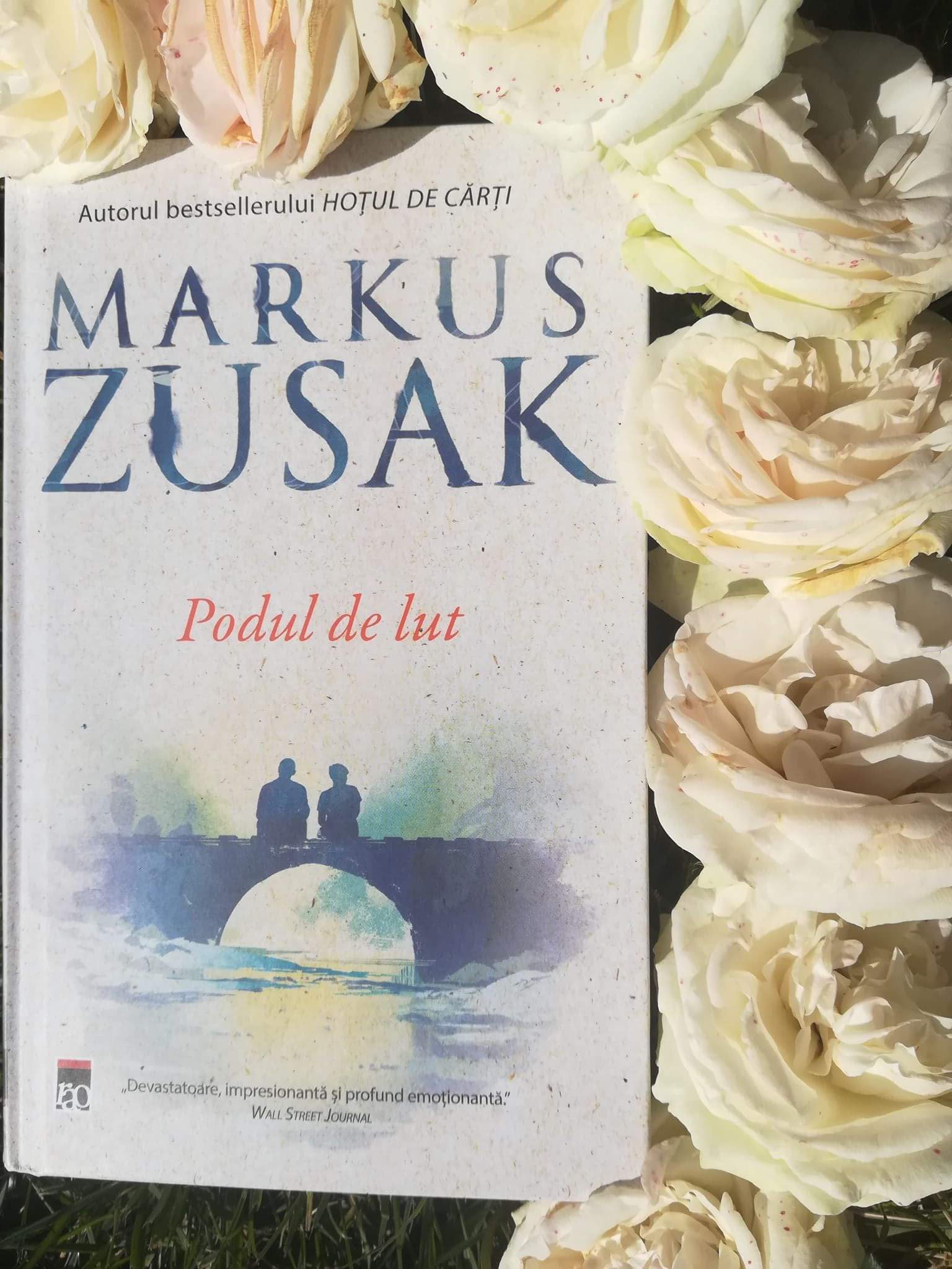To seek refuge Dismantle creative Podul de lut - Markus Zusak - Editura Rao - recenzie