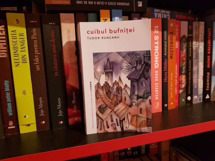 Cuibul bufniței de Tudor Runcanu - Editura Litera