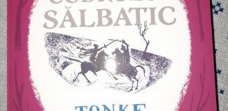 Tainele Codrului Sălbatic de Tonke Dragt - Editura Paralela 45