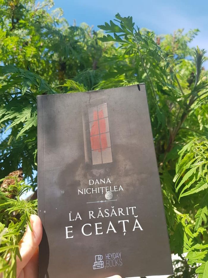 La răsărit de ceață de Dana Nichițelea - Editura Heyday Books - recenzie