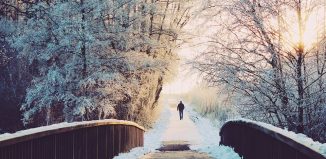 Studentul, iarna... de Mihnea Arion - Cadranul autorului