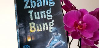 Zbang! Tung! Bung!, de Sergiu Someșan - Editura Pavcon - recenzie
